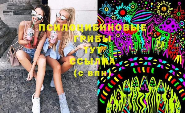 бутират Дмитриев