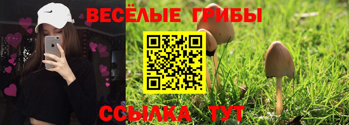 Псилоцибиновые грибы Cubensis Можайск